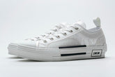 DIOR B23 LOW *WHITE* - BLVCX