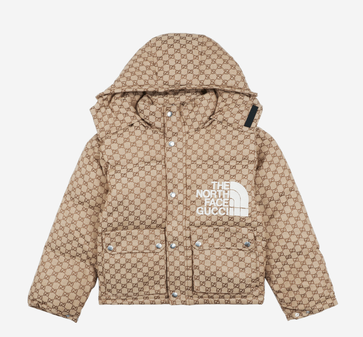 GUCCI x THE NORTH FACE JACKET